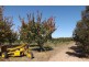20 Twenty-fourth Street, Renmark SA 5341