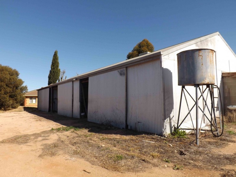20 Twenty-fourth Street, Renmark SA 5341