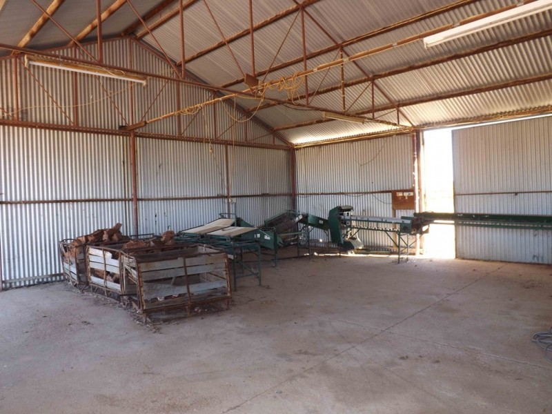 20 Twenty-fourth Street, Renmark SA 5341