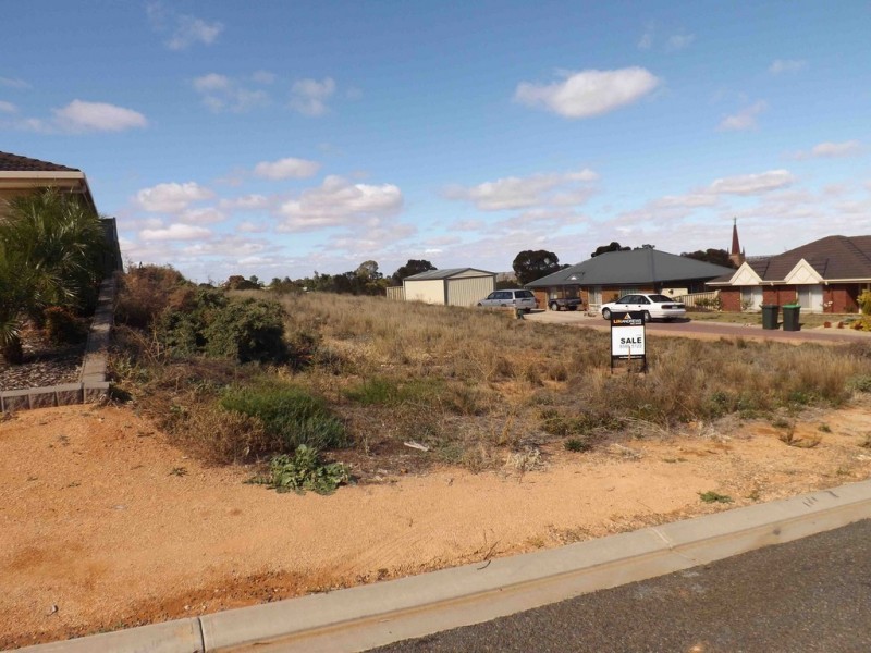 6 Eckermann Close, Paringa SA 5340