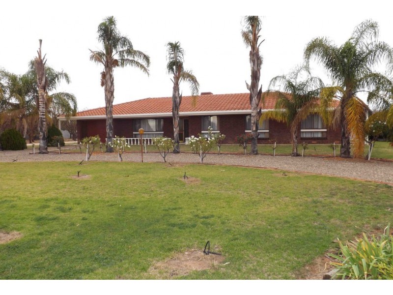 647 Ral Ral Avenue, Renmark SA 5341