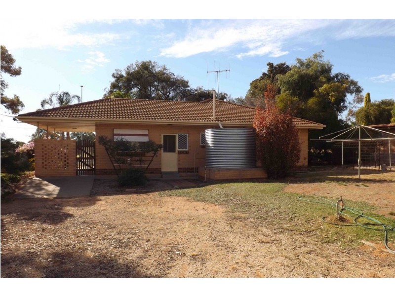 11 Hawdon Street, Barmera SA 5345