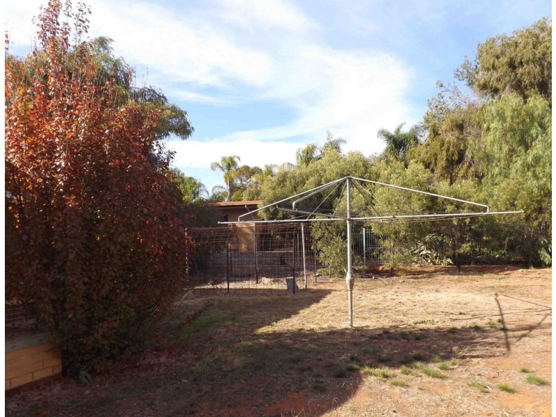 11 Hawdon Street, Barmera SA 5345