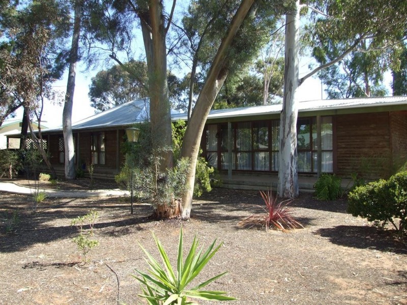 13 Railway Terrace, Renmark SA 5341