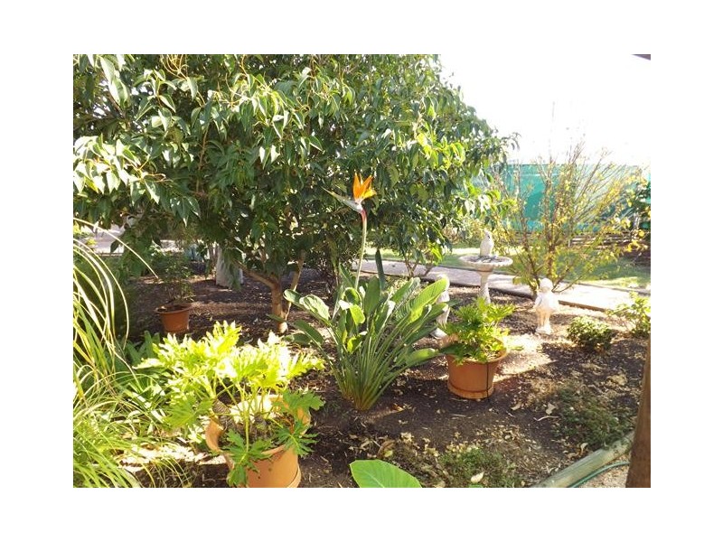 13 Railway Terrace, Renmark SA 5341