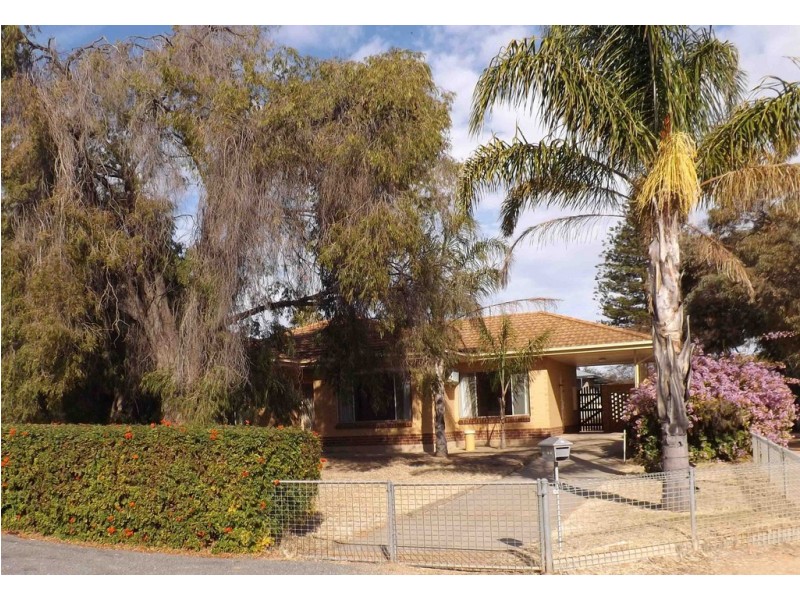 11 Hawdon Street, Barmera SA 5345