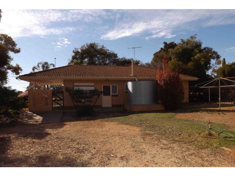 11 Hawdon Street, Barmera SA 5345