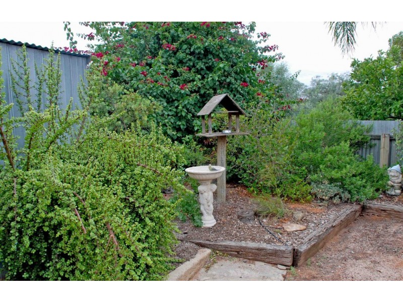 1 Phillips Road, Berri SA 5343