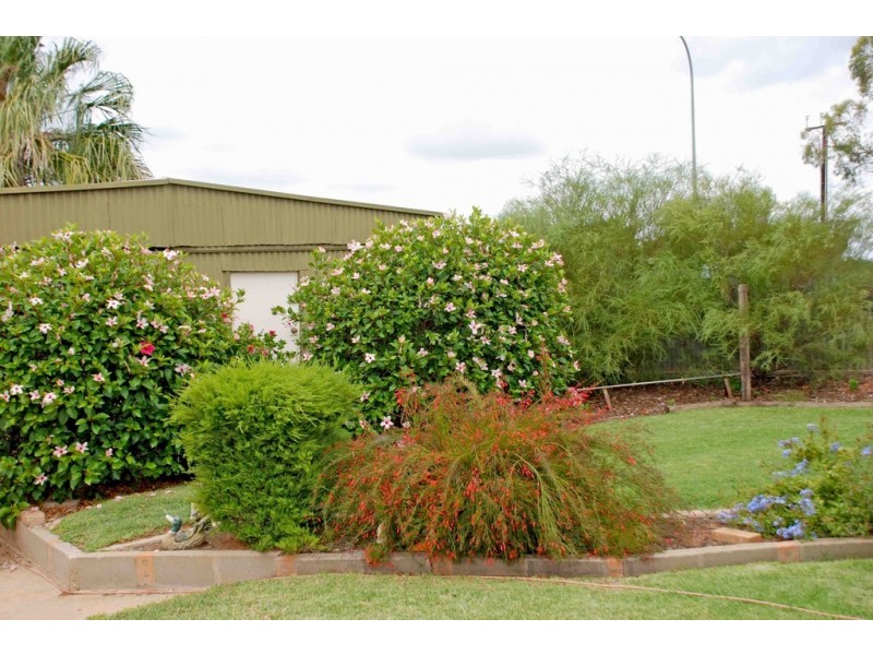 1 Phillips Road, Berri SA 5343