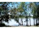 2 Alma Street, Renmark SA 5341