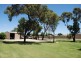 2 Alma Street, Renmark SA 5341