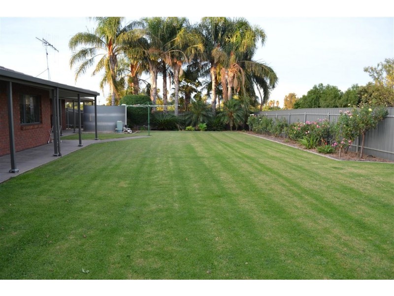 155 Arumpo Street, Renmark SA 5341