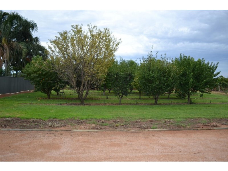 155 Arumpo Street, Renmark SA 5341
