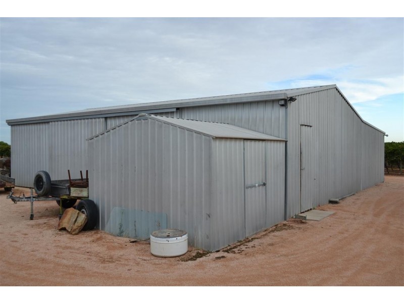 155 Arumpo Street, Renmark SA 5341