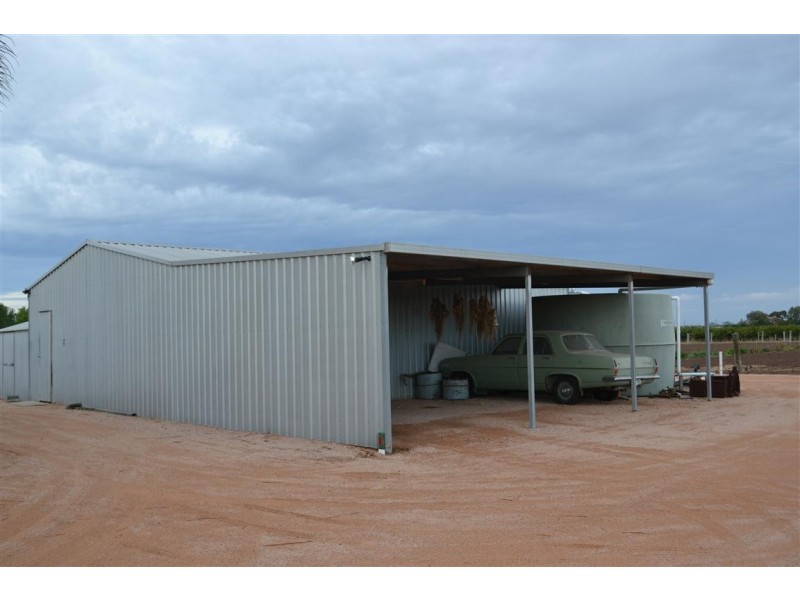 155 Arumpo Street, Renmark SA 5341