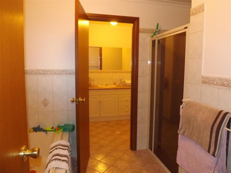 14 Eleventh Street, Renmark SA 5341