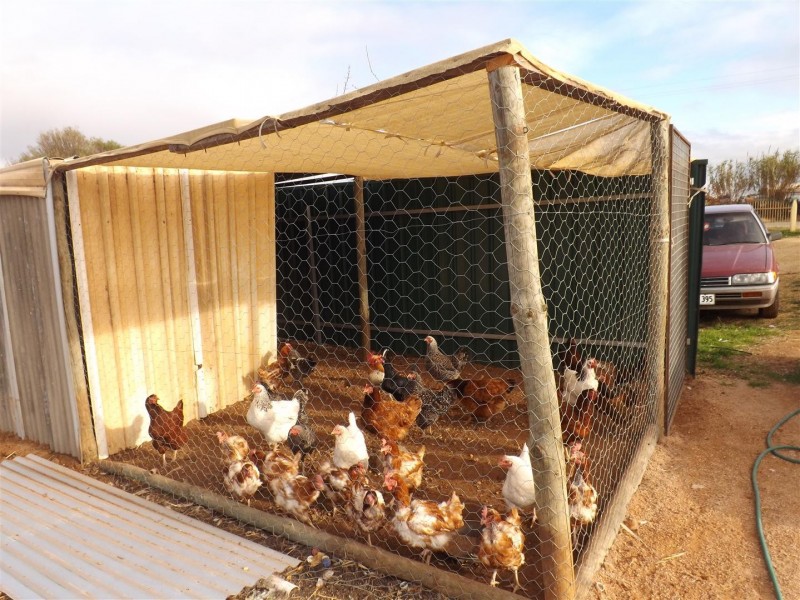 58 Culgoa Street, Renmark SA 5341