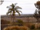 16 Old Sturt Highway, Berri SA 5343