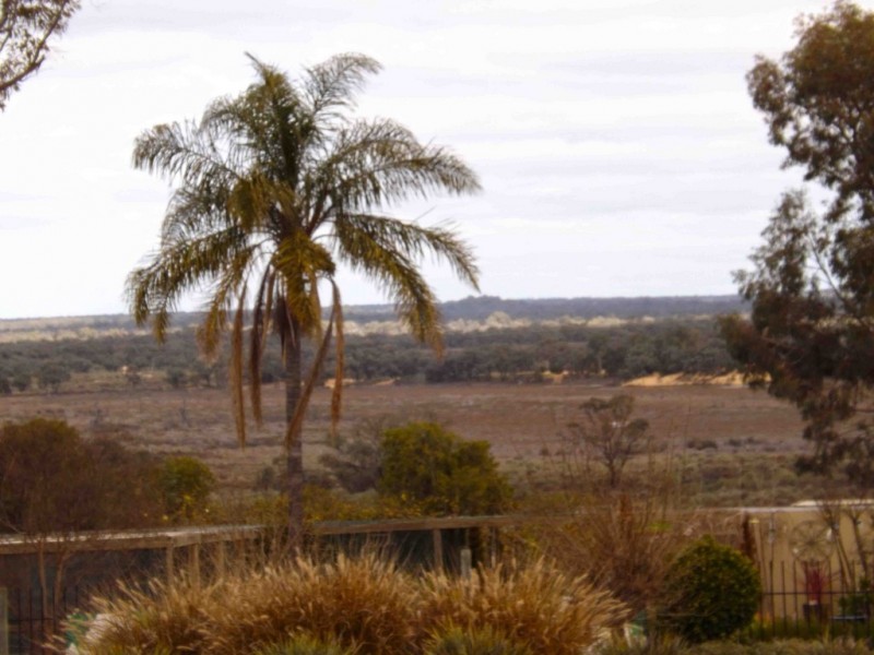 16 Old Sturt Highway, Berri SA 5343