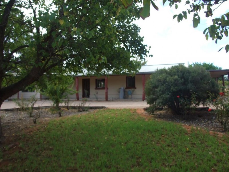 491 Chowilla Street, Renmark SA 5341