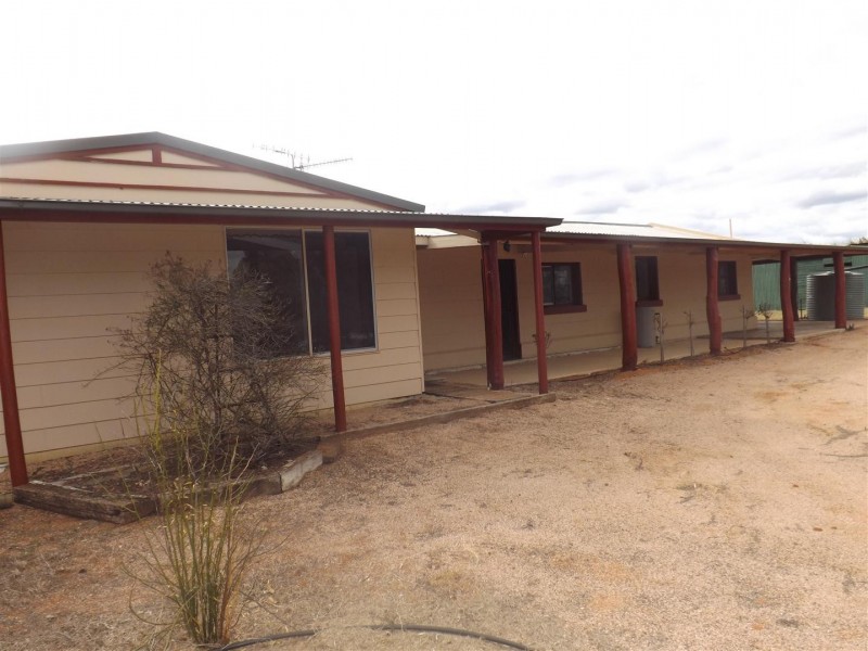 491 Chowilla Street, Renmark SA 5341
