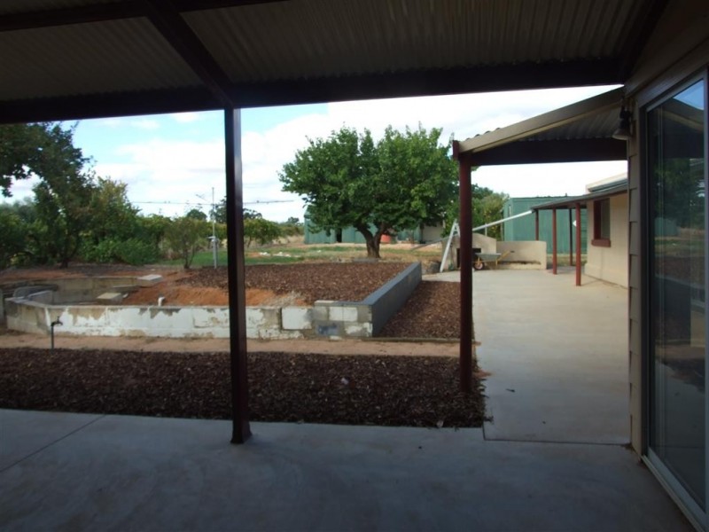 491 Chowilla Street, Renmark SA 5341