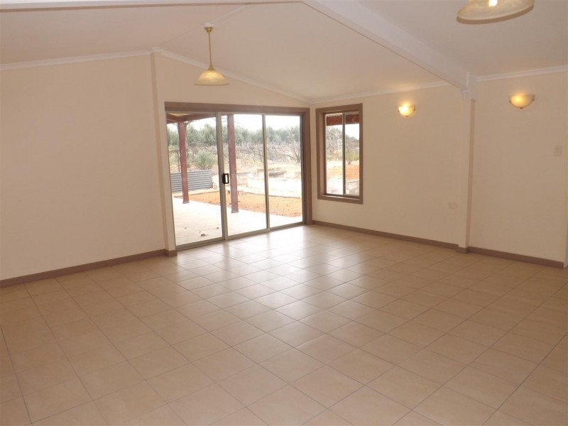 491 Chowilla Street, Renmark SA 5341