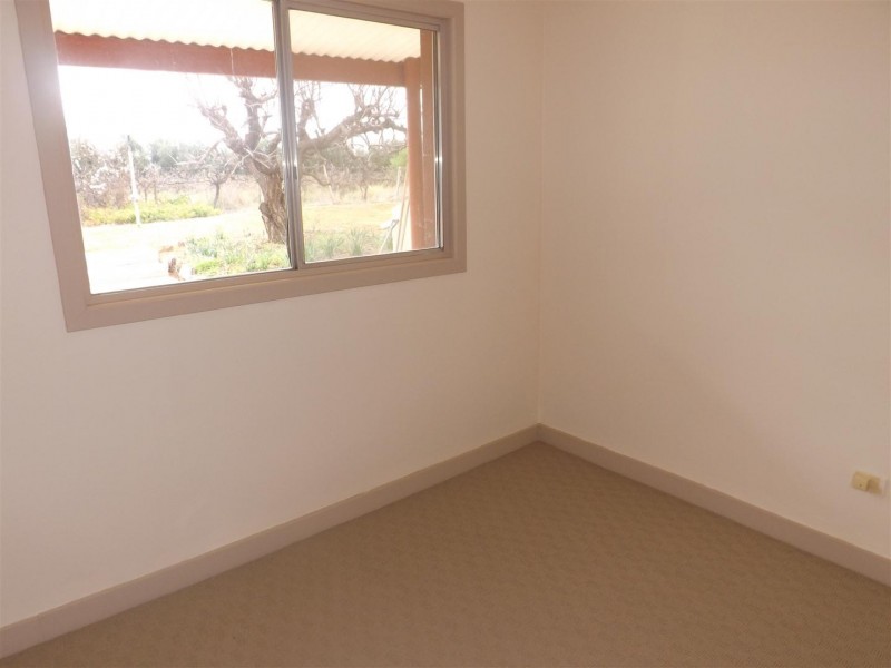 491 Chowilla Street, Renmark SA 5341