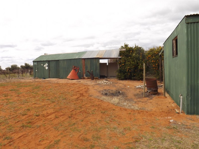 491 Chowilla Street, Renmark SA 5341