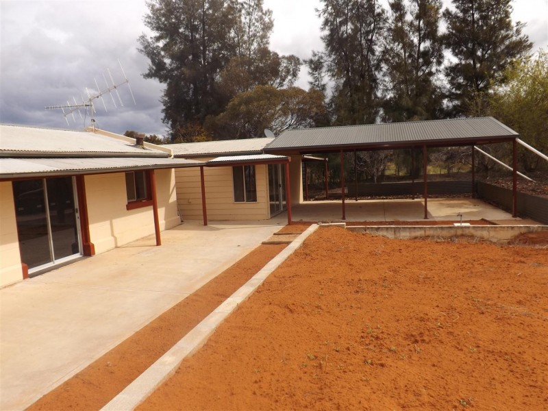 491 Chowilla Street, Renmark SA 5341