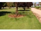 20197 Renmark Ave, Renmark SA 5341