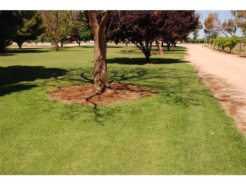 20197 Renmark Ave, Renmark SA 5341