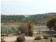 252 Old Coach Road, Barmera SA 5345