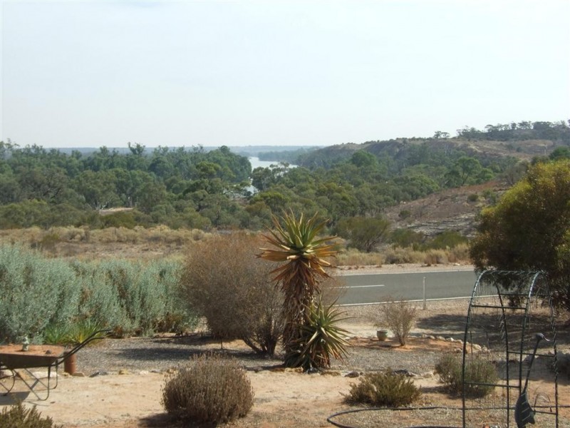 252 Old Coach Road, Barmera SA 5345