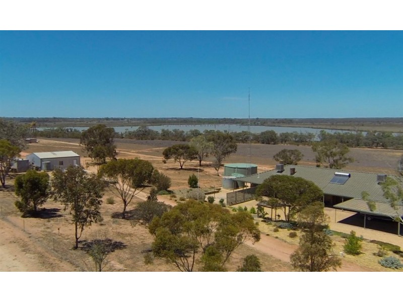 595 Morgan Road, Barmera SA 5345