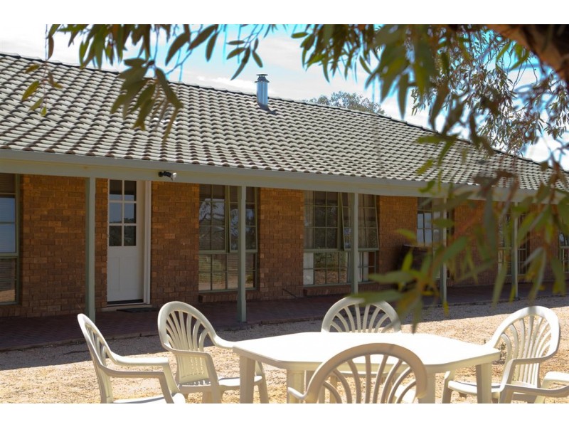 595 Morgan Road, Barmera SA 5345