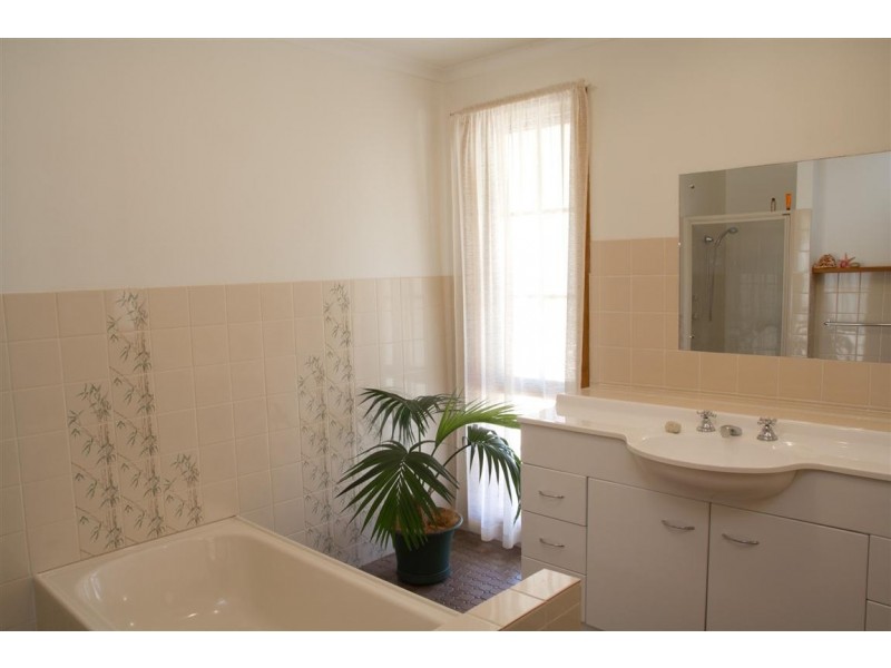 595 Morgan Road, Barmera SA 5345