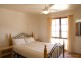 595 Morgan Road, Barmera SA 5345