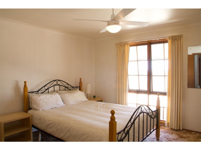 595 Morgan Road, Barmera SA 5345