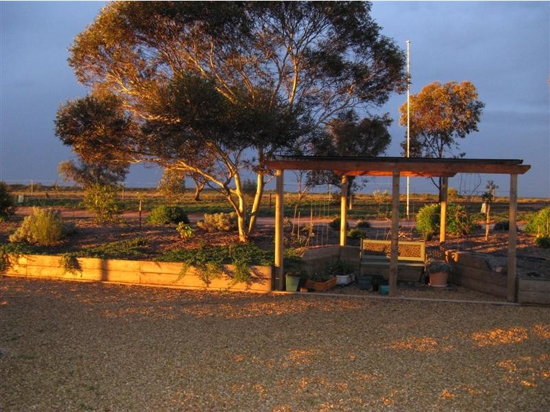 595 Morgan Road, Barmera SA 5345