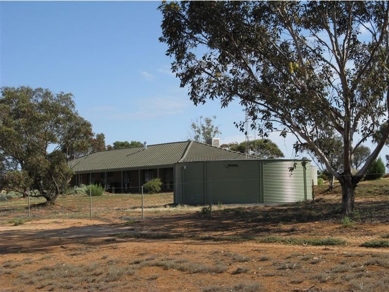 595 Morgan Road, Barmera SA 5345