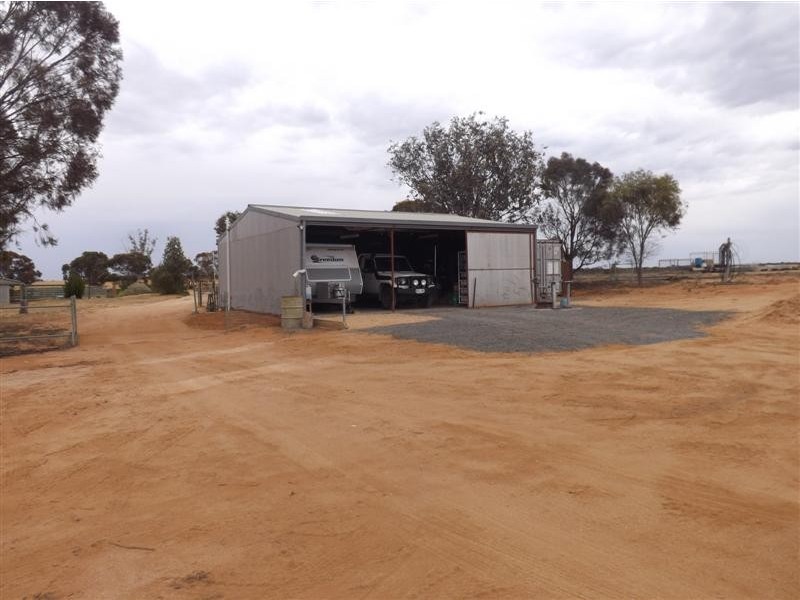 595 Morgan Road, Barmera SA 5345