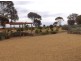 595 Morgan Road, Barmera SA 5345
