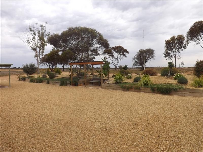 595 Morgan Road, Barmera SA 5345