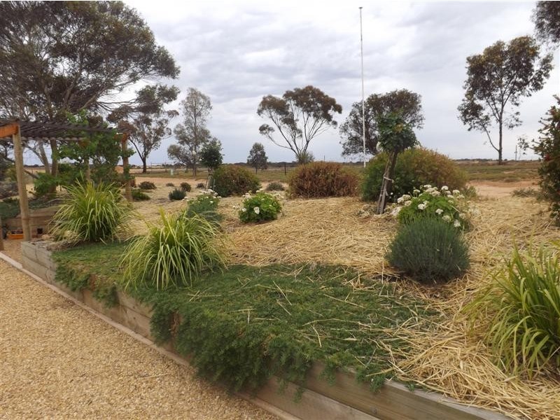 595 Morgan Road, Barmera SA 5345