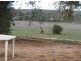 595 Morgan Road, Barmera SA 5345