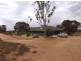 595 Morgan Road, Barmera SA 5345