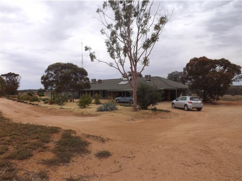 595 Morgan Road, Barmera SA 5345