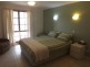 595 Morgan Road, Barmera SA 5345