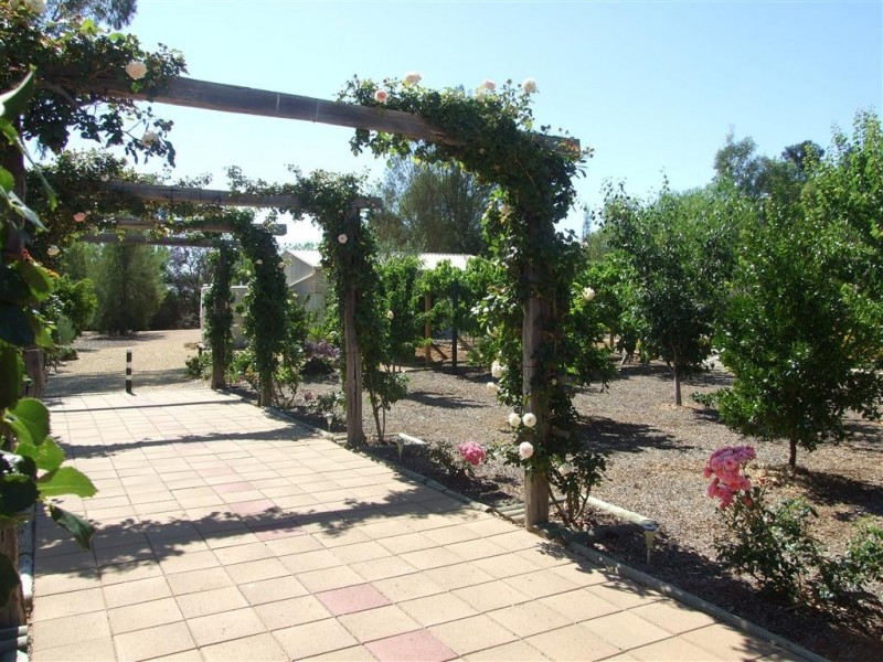 1 Shepherd Drive, Paringa SA 5340